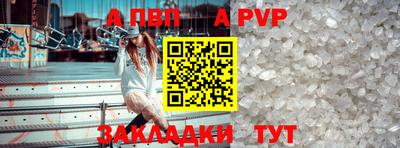 шишки Обь
