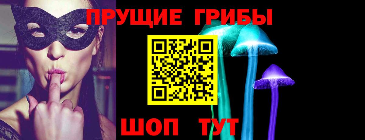 Псилоцибиновые грибы прущие грибы  Вход с VPN  наркошоп  Сосновый Бор  Галлюциногенные грибы мухоморы 